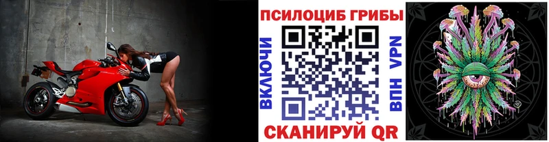 как найти наркотики  Краснообск  Галлюциногенные грибы Psilocybine cubensis 